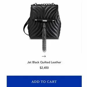 Tyler Ellis | Bags | Tyler Ellis Tiffany Classica Backpack  display picture 1